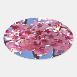 Sakura Cherry Blossom Red Stars Ovale Sticker
