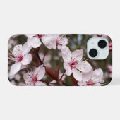 Sakura de printemps (Verso Horizontal)