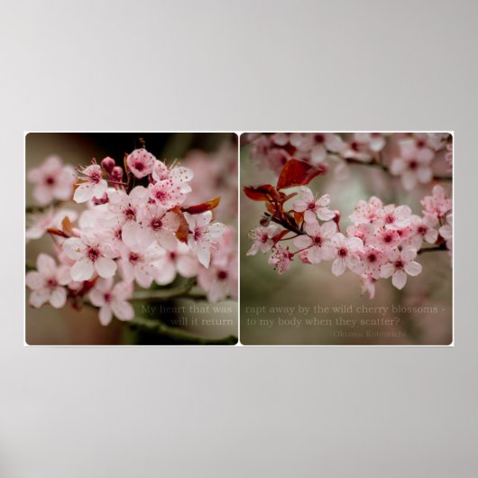 Sakura Diptych Poster (Voorkant)