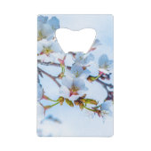 Sakura - Fleur de cerisier japonaise (Devant)