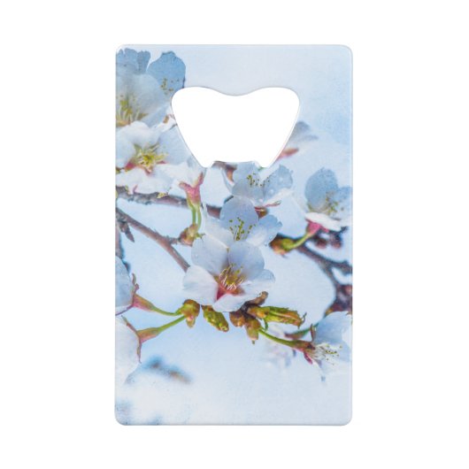 Sakura - Fleur de cerisier japonaise (Dos)