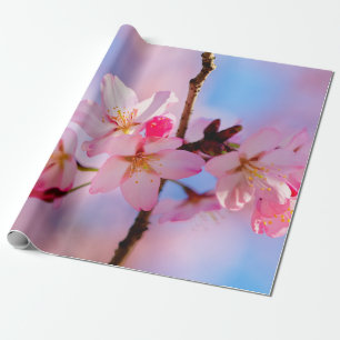 Sakura Flowers op een verticale tak Cadeaupapier