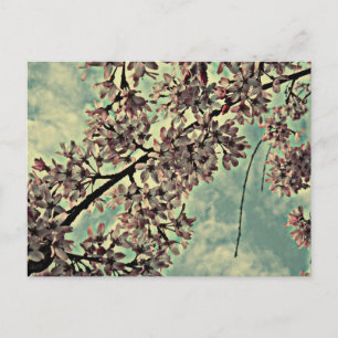 SAKURA FOTO BRIEFKAART