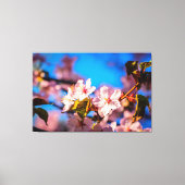Sakura in roze en blauw canvas afdruk (Voorkant)