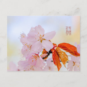 Sakura - Japanse kersenbloesem Briefkaart