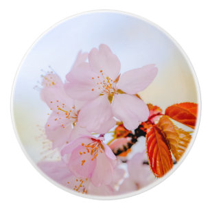 Sakura - Japanse kersenbloesem Keramische Knop