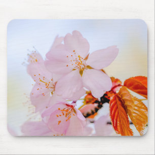 Sakura - Japanse kersenbloesem Muismat