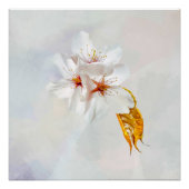 Sakura - Japanse kersenbloesem Perfect Poster (Voorkant)