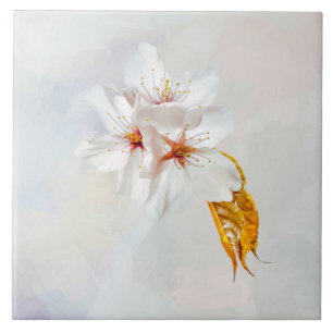 Sakura - Japanse kersenbloesem Tegeltje