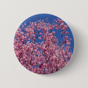 Sakura Kersenbloesem In Het Blauwe Ronde Button 5,7 Cm