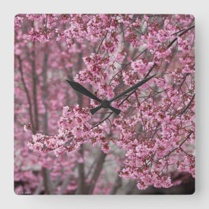 Sakura Kersenbloesem Stromend Roze Vierkante Klok