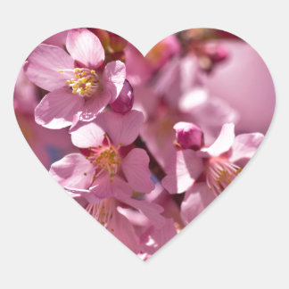 Sakura Kersenbloesems gekust door zonlicht Hart Sticker