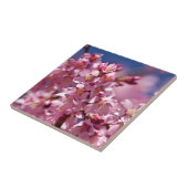 Sakura Kersenbloesems gekust door zonlicht Tegeltje (Zijkant)