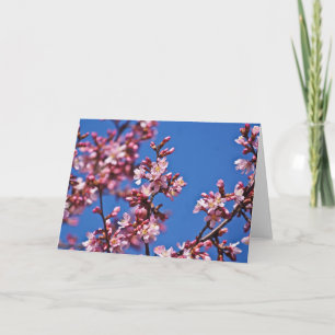 Sakura Kersenbloesems raken blauw Kaart