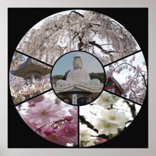 Sakura Meditation_ by Adela Stefanov Poster