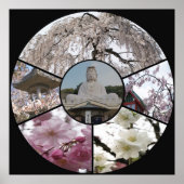 Sakura Meditation_ door Adela Stefanov Poster (Voorkant)
