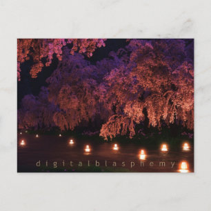 Sakura (nacht) briefkaart