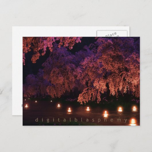 Sakura (nacht) briefkaart (Voorkant / Achterkant)