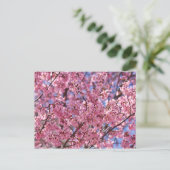 Sakura Pink Cherry Blossom Sky Briefkaart (Staand voorkant)