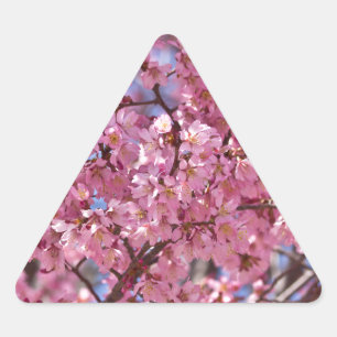 Sakura Pink Cherry Blossom Sky Driehoek Sticker