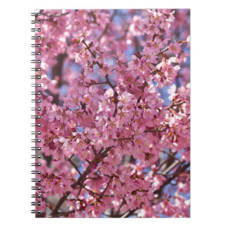 Sakura Pink Cherry Blossom Sky Notitieboek