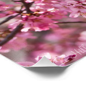 Sakura Pink Cherry Blossom Sky Perfect Poster (Hoek)