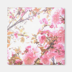 Sakura Pink Flowers Cherry Blossom Floral Patronen Magneet
