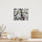 Sakura Poster (Keuken)