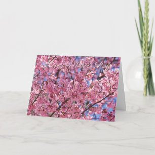 Sakura Roze Kersenbloesem Hemel Poster Kaart