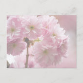Sakura · Save the Date Briefkaart (Achterkant)
