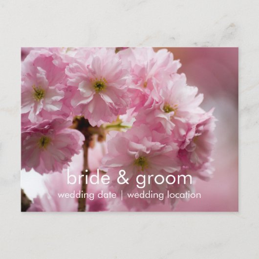 Sakura · Save the Date Briefkaart (Voorkant)