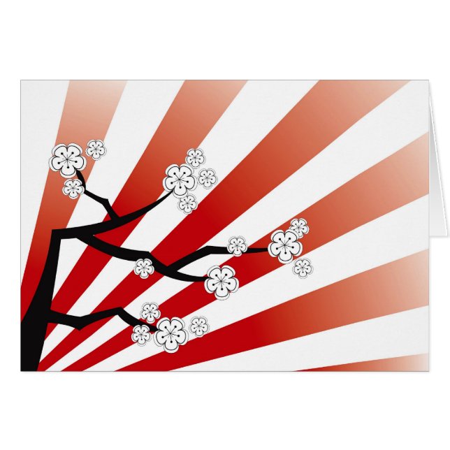 Sakura Sunrise White Cherry Blossom Flowers Zen (Voorkant Horizontaal)