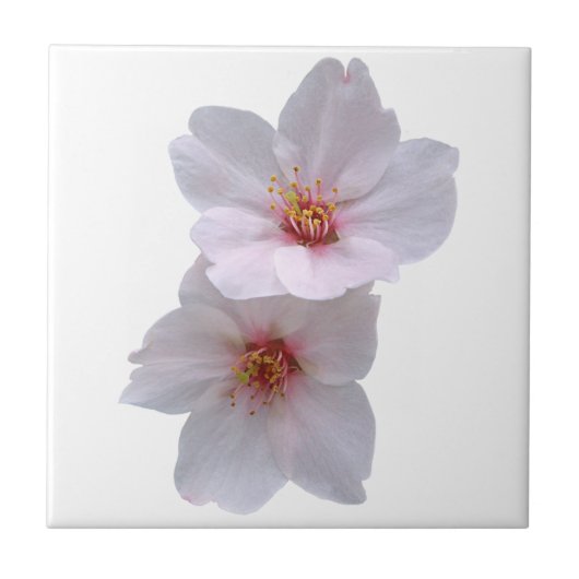 Sakura Tegeltje (Voorkant)