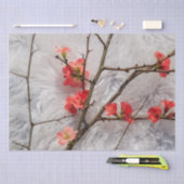 Sakura Tissuepapier (Craft)