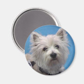 Sal Magneet (Voorkant / Achterkant)