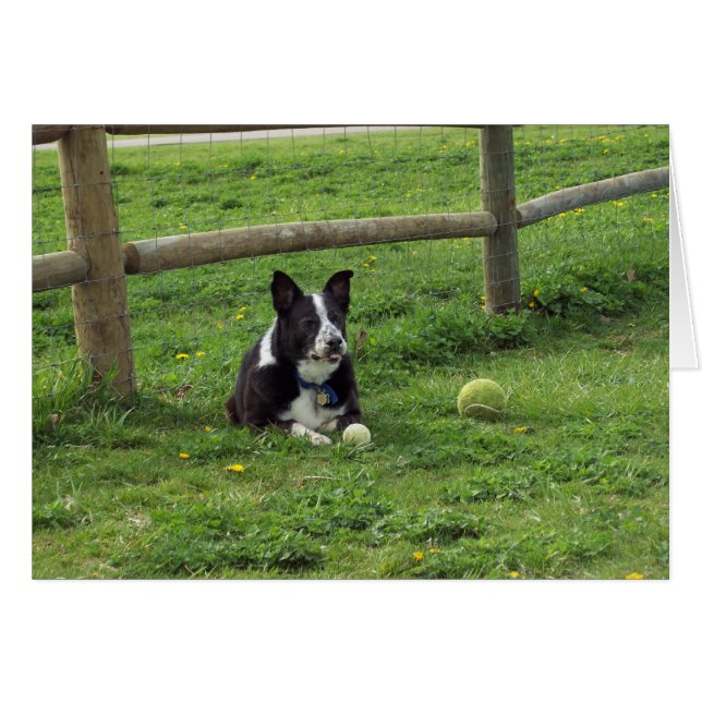 Sal_portret2 (Voorkant Horizontaal)