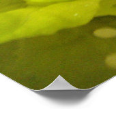 Salad Vegetables Print (Hoek)