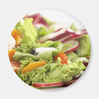 salademagneet magneet