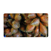 Salak [Snake Fruit] Etiket (Voorkant)