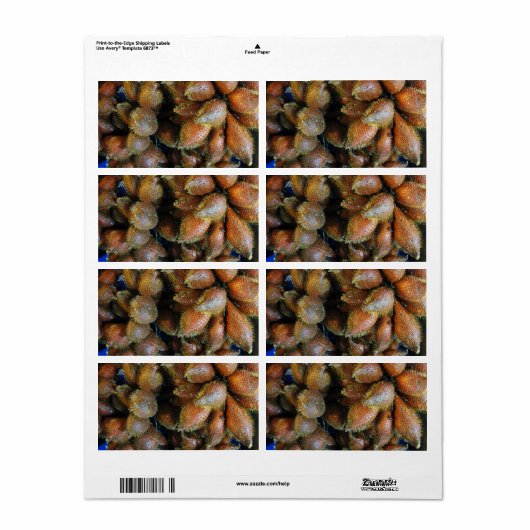 Salak [Snake Fruit] Etiket (Full Sheet)