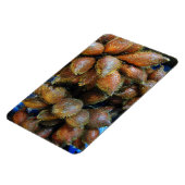 Salak [Snake Fruit] Magneet (Linkerzijde)