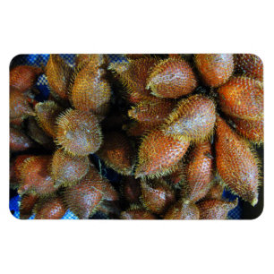 Salak [Snake Fruit] Magneet