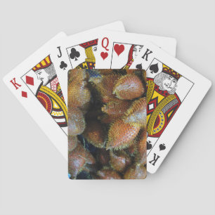 Salak [Snake Fruit] Pokerkaarten