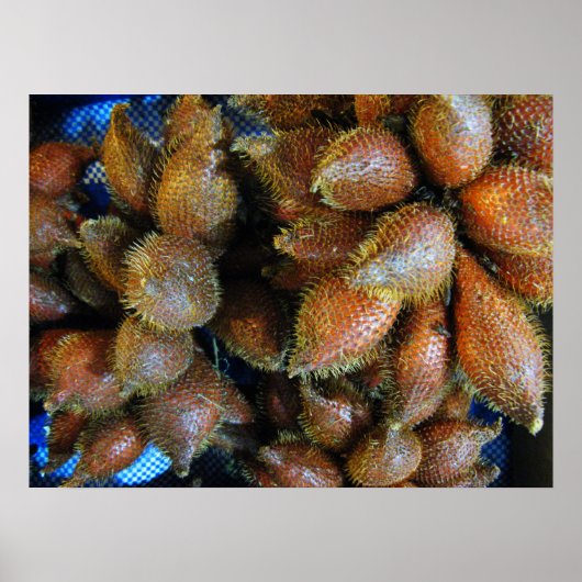 Salak [Snake Fruit] Poster (Voorkant)