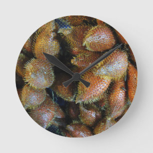 Salak [Snake Fruit] Ronde Klok