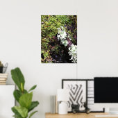 Salamander Hiding under Log, Washington Poster (Thuiskantoor)