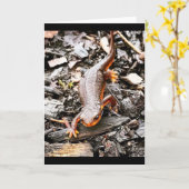 Salamander in het bos, Oregon Kaart (Gele Bloem)