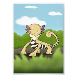 Salamandra Foto Afdruk