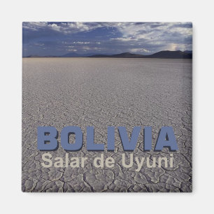 Salar de Uyuni Bolivia Travel Souvenir Magnet Magneet