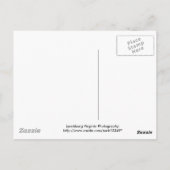 saldo briefkaart (Achterkant)